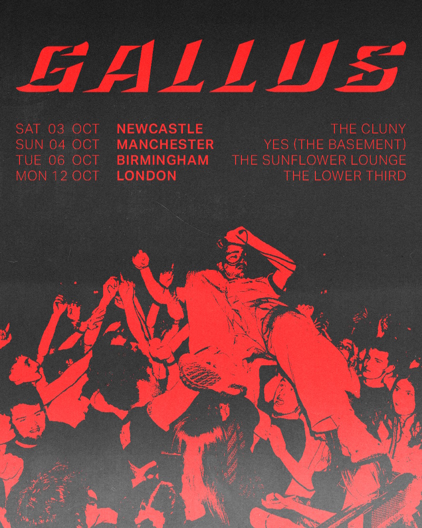 Gallus