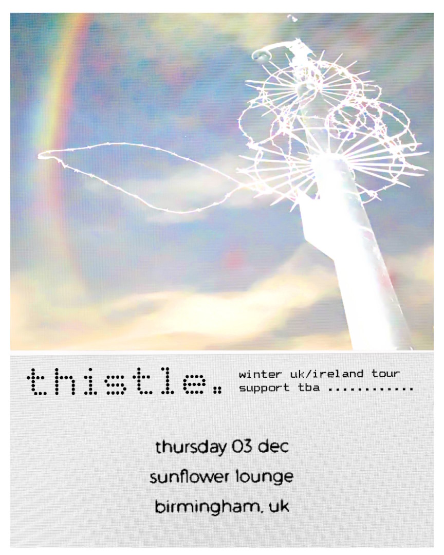 thistle.